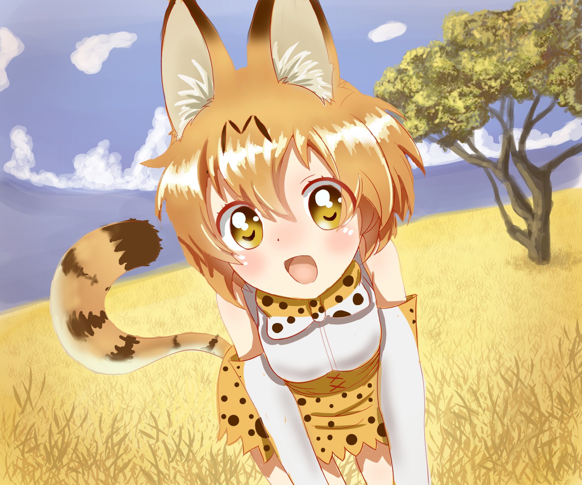 Kemono Friends HD Wallpaper | Background Image | 3600x3000