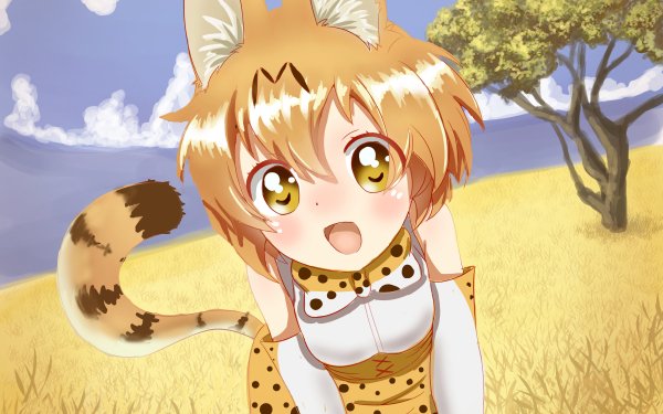 Anime Kemono Friends Serval HD Wallpaper | Background Image