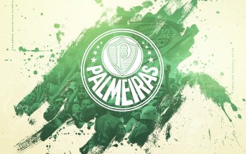 Palmeiras Papel De Parede 4k - foto de papel de parede