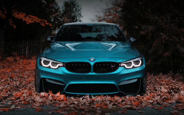 HD desktop wallpaper featuring a teal BMW M3 car parked on autumn leaves, showcasing the vehicle’s aggressive front design and iconic headlights.