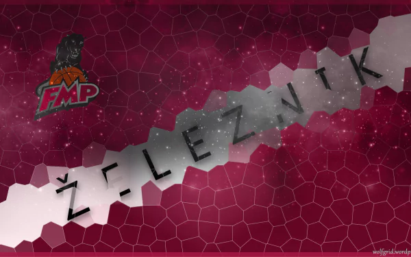  FMP Zeleznik Basketball Team