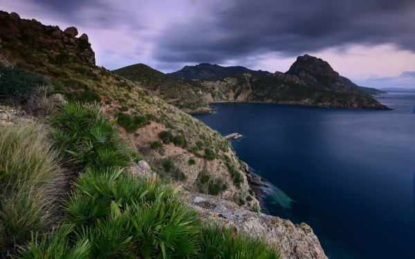 A dramatic coastline in Algeria with lush greenery on rocky cliffs overlooking deep blue waters under a moody, cloudy sky, captured in high-definition detail.