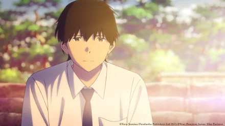 HD desktop wallpaper from I Want To Eat Your Pancreas featuring the character Haruki Shiga in a sunlit setting.