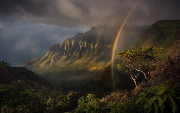 Tierra/Naturaleza Arco iris Naturaleza Paisaje Rainforest Fondo de pantalla HD | Fondo de Escritorio