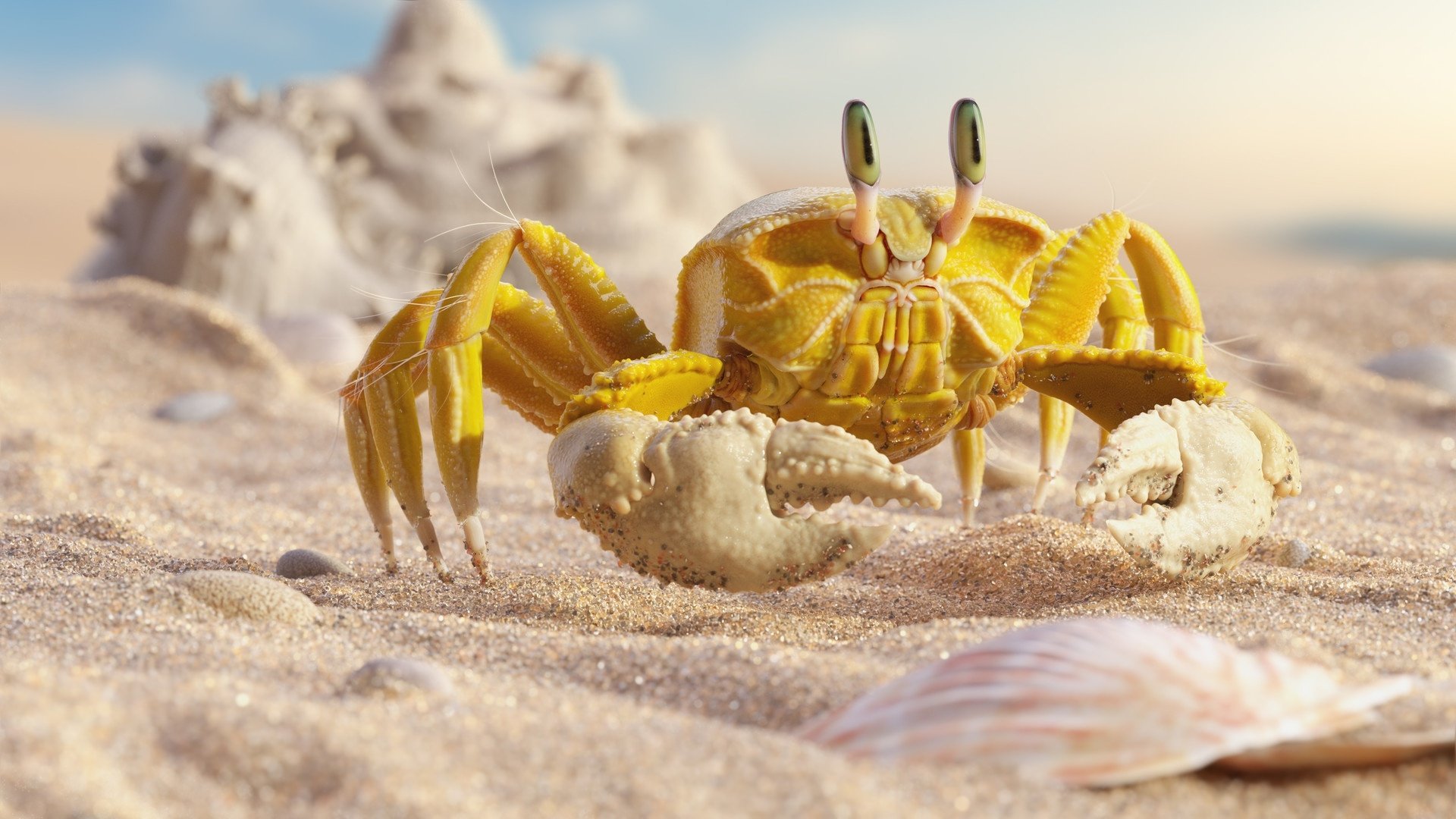 HD desktop wallpaper of a yellow crab on sand with a blurred sandy background and a seashell in the foreground.