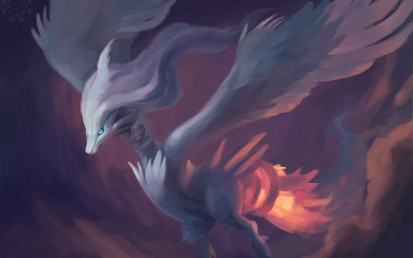 Reshiram (Pokémon) Anime Pokemon HD Desktop Wallpaper | Background Image