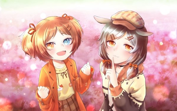Anime Original Chibi Heterochromia HD Wallpaper | Background Image