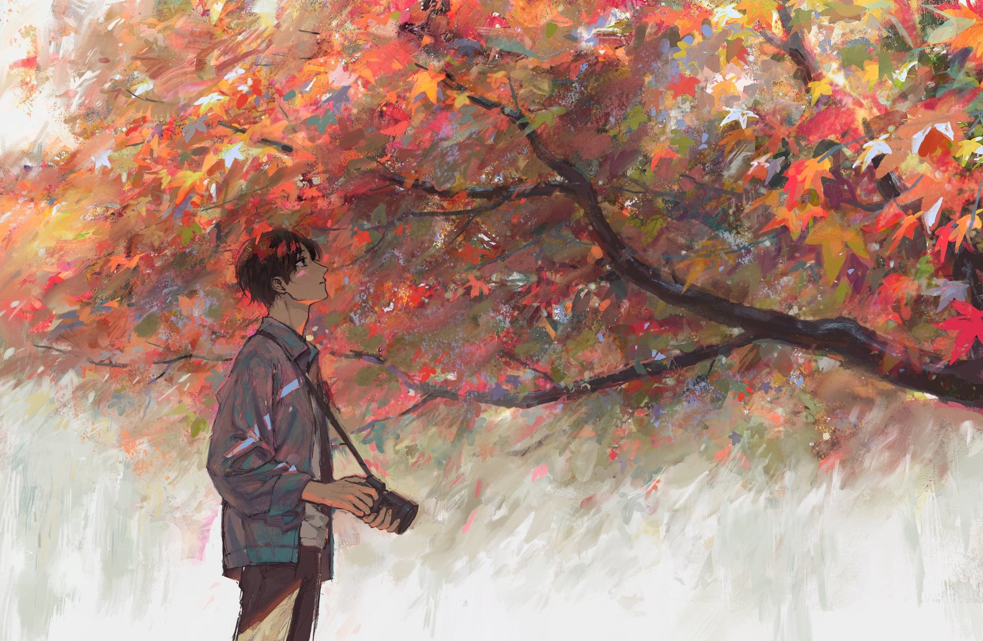 Anime boy with short brown hair holds a camera, standing under vibrant autumn foliage. HD desktop wallpaper and background.