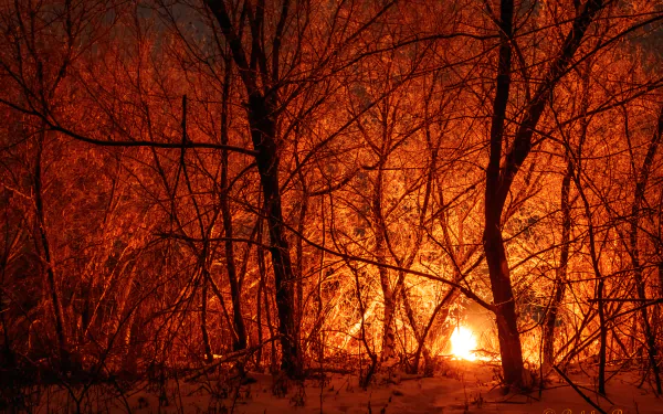 photography fire HD Desktop Wallpaper | Background Image