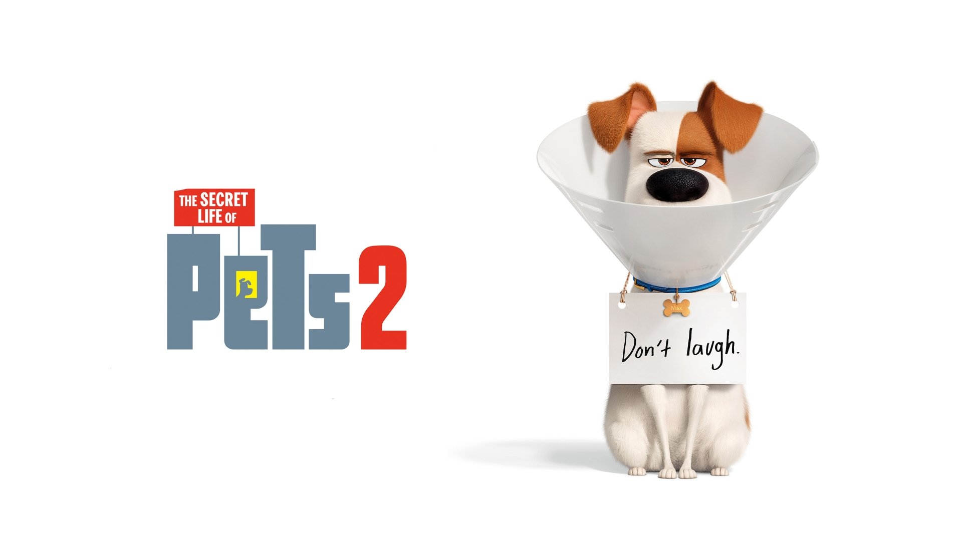 Download Movie The Secret Life Of Pets 2 4k Ultra HD Wallpaper