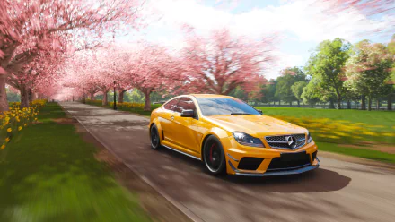 Mercedes-AMG C 63 vehicle Forza Horizon 4 HD Desktop Wallpaper | Background Image