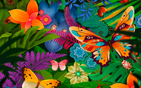Artistic Butterfly Rainforest Bug Flower Fruit Leaf Insect HD Wallpaper | Background Image