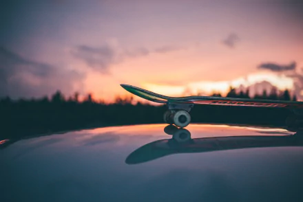 sunset skateboarding Sports HD Desktop Wallpaper | Background Image