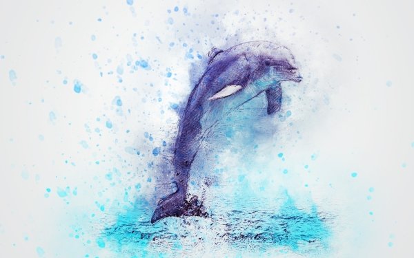 Animal Dolphin Jump HD Wallpaper | Background Image