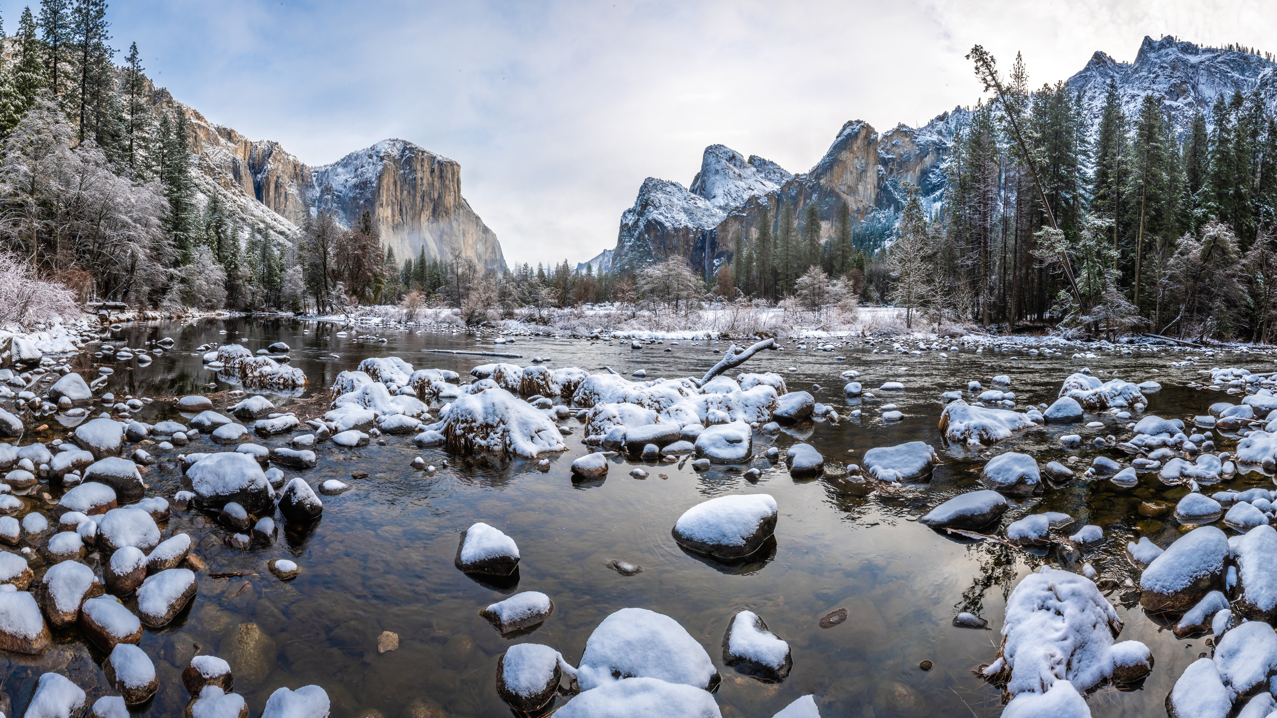 Yosemite National Park HD Wallpaper | Background Image | 2560x1440