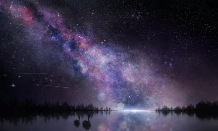 HD desktop wallpaper featuring an anime-styled night sky with stars and a colorful Milky Way, silhouetted trees, and a swan reflected in the water, creating a serene and enchanting scene.