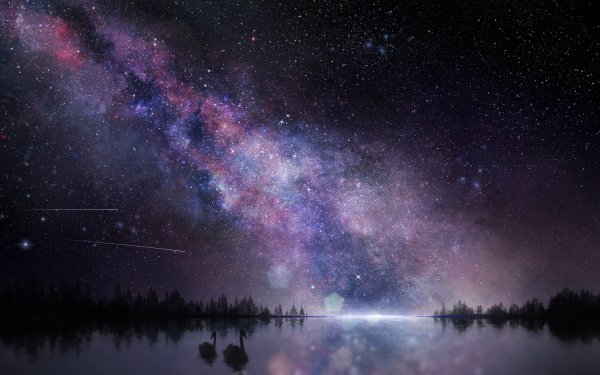 Anime Sky Swan Silhouette Night Stars HD Wallpaper | Background Image