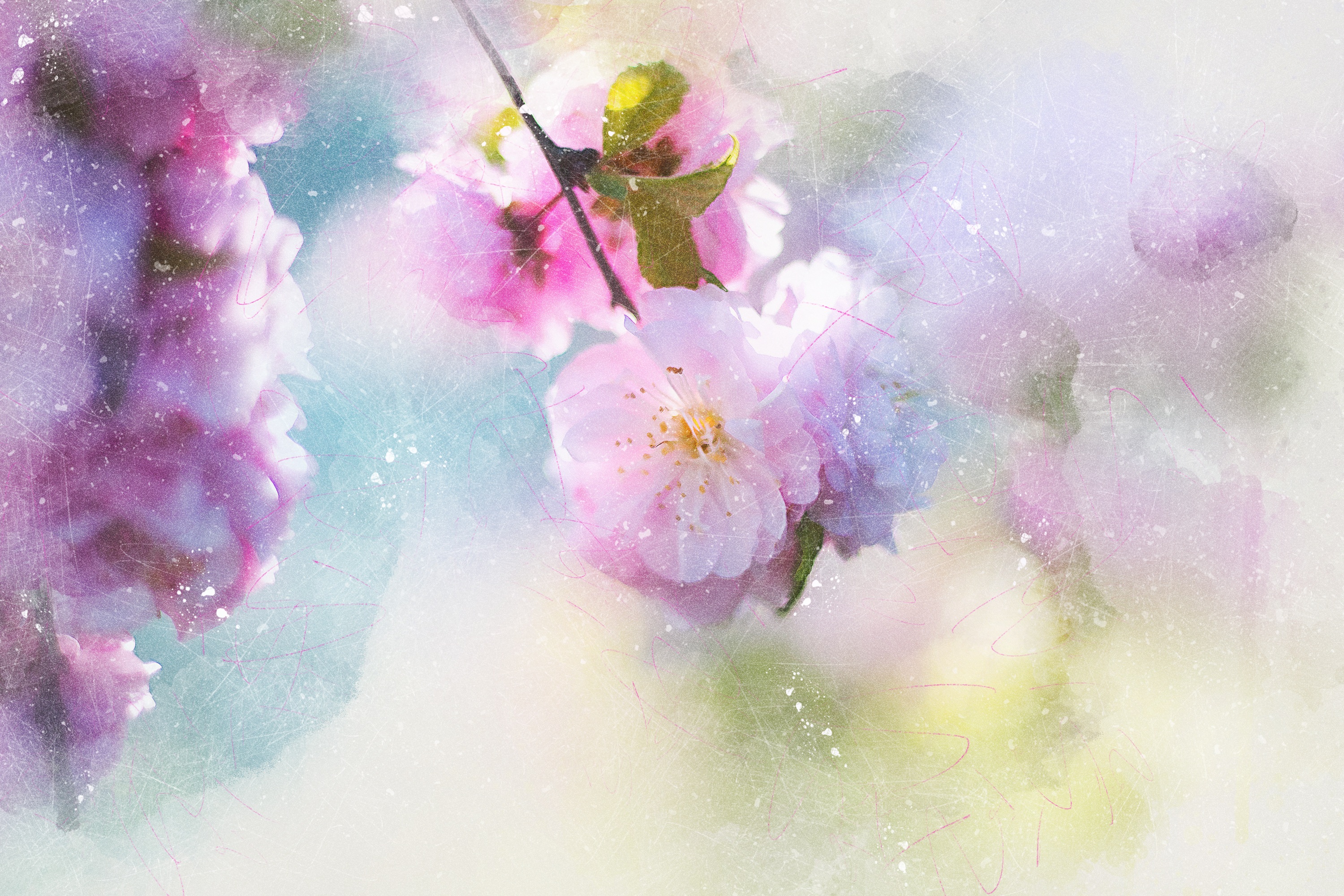 Artistic Cherry blossom by ractapopulous
