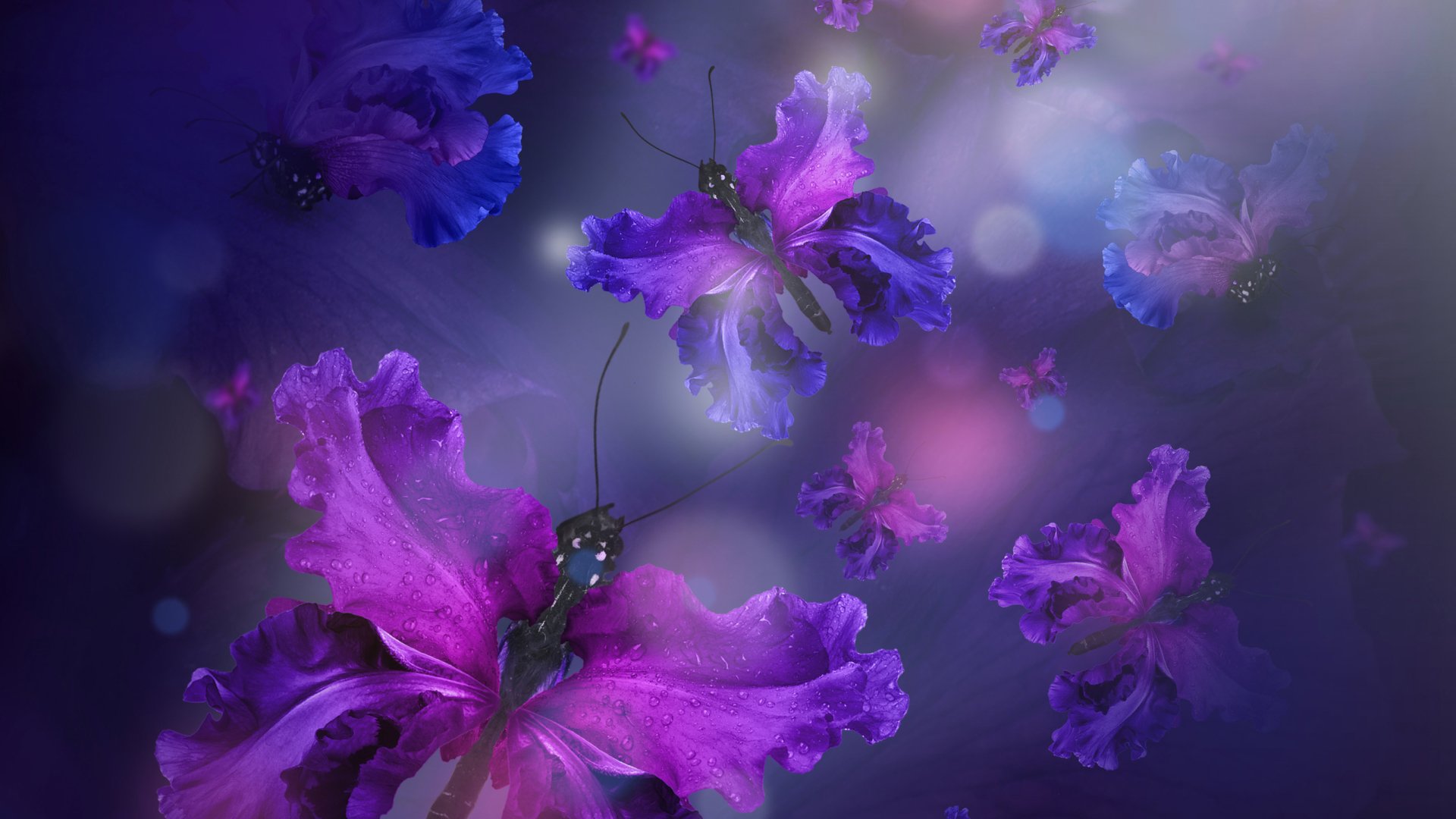 Artistic Butterfly HD Wallpaper
