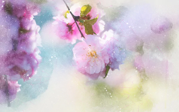  Artistic Cherry blossom by ractapopulous