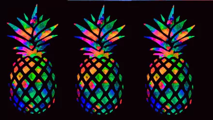  Multicolored Pineapples