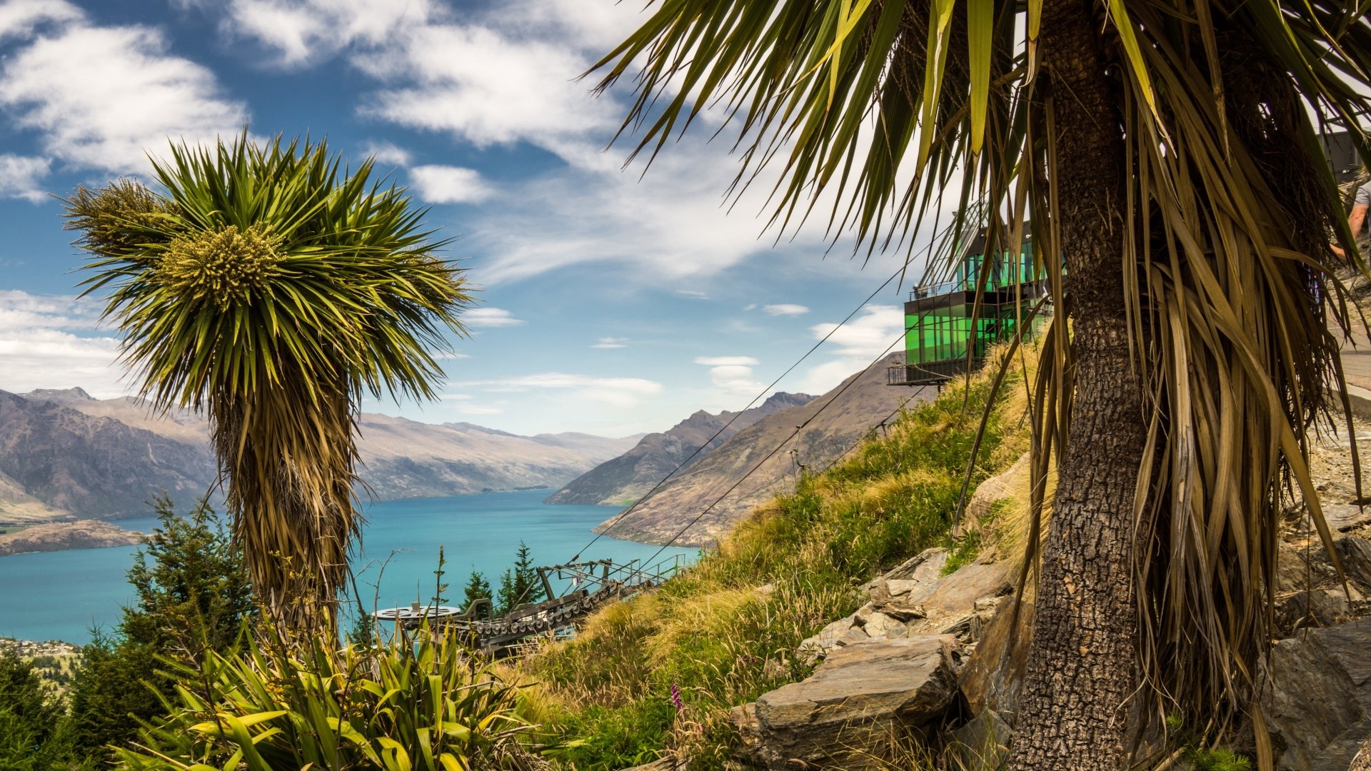 4K Ultra HD desktop wallpaper showcasing lush palm trees and vibrant nature beside a river, set against New Zealand’s stunning mountainous landscape under a bright sky.