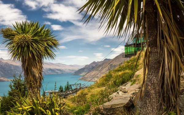 4K Ultra HD desktop wallpaper showcasing lush palm trees and vibrant nature beside a river, set against New Zealand’s stunning mountainous landscape under a bright sky.